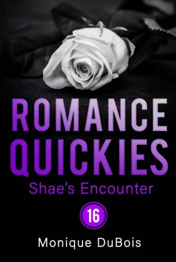 El encuentro de Shae - 16 libro en epub gratis