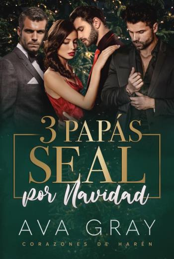 3 Papás SEAL por Navidad libro en epub gratis