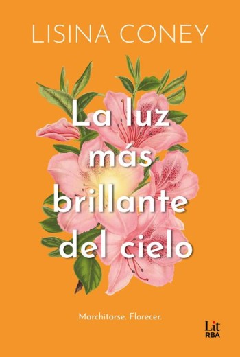 La luz más brillante del cielo epub gratis