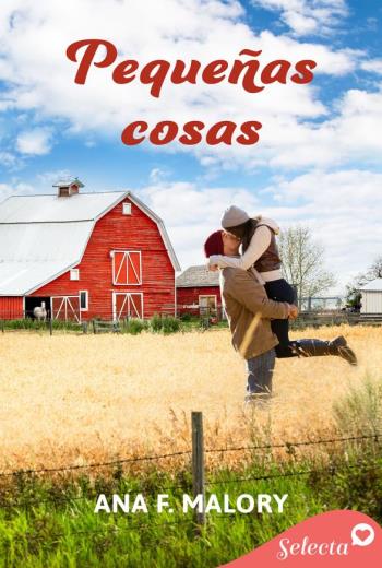 Pequeñas cosas libro en epub gratis